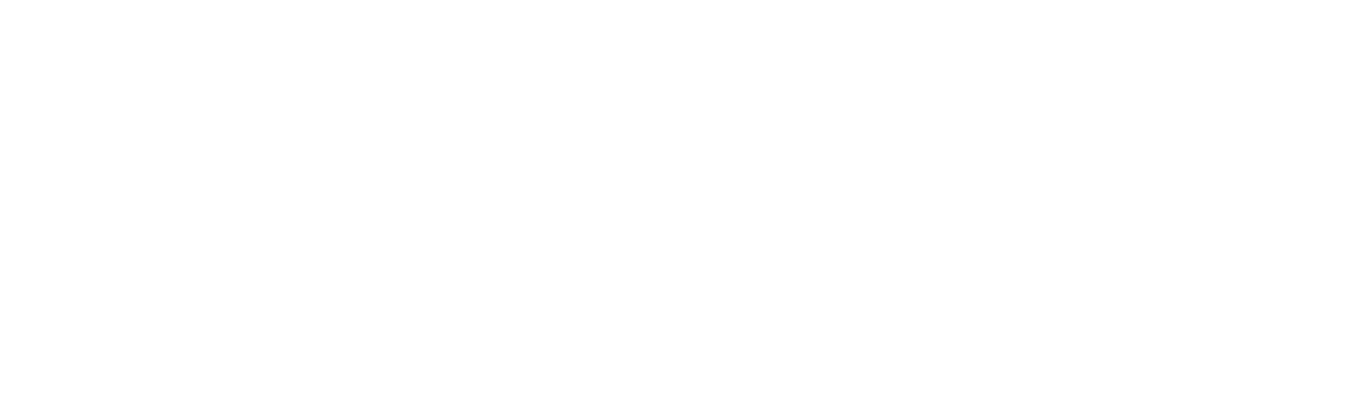 Seeto Logo: the tennis ball in white