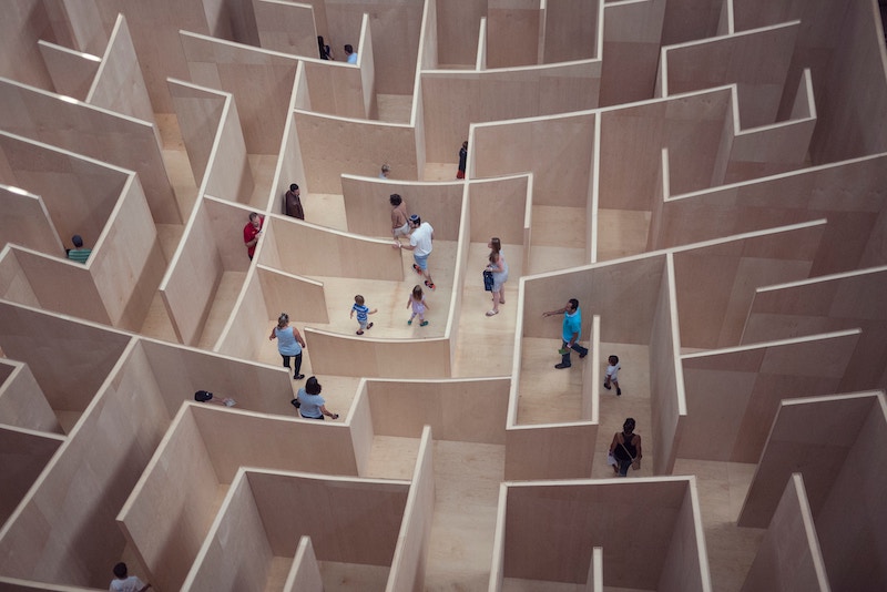 People navigating a birch panel maze